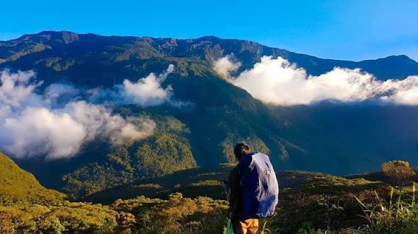 Mount Halcon
